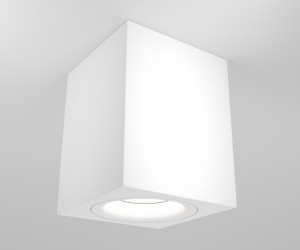 Потолочный светильник Technical C013CL-01W