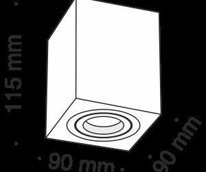 Потолочный светильник Technical C017CL-01B