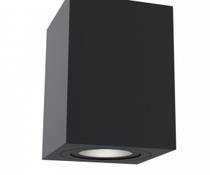 Потолочный светильник Technical C017CL-01B