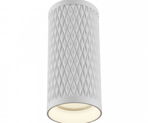 Потолочный светильник Technical C036CL-01W