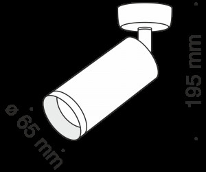 Потолочный светильник Technical C017CW-01GF