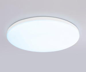 FZ2001 WH белый IP54 20W 3000K-6500K+RGB Wi-Fi Алиса/Tuya/Smart Home/Alexa D300*55 (ПДУ ИК)