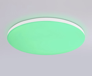 FZ2001 WH белый IP54 20W 3000K-6500K+RGB Wi-Fi Алиса/Tuya/Smart Home/Alexa D300*55 (ПДУ ИК)