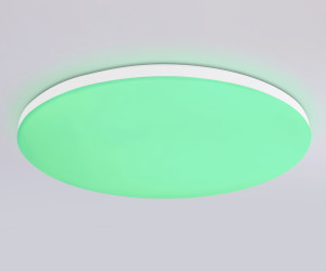 FZ2002 WH белый IP54 25W 3000K-6500K+RGB Wi-Fi Алиса/Tuya/Smart Home/Alexa D370*55 (ПДУ ИК)