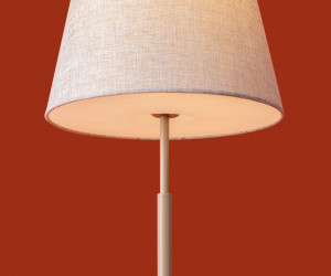 Настольный светильник Freya FR2057TL-01BG