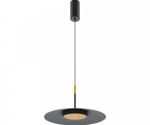 Подвесной светильник Maytoni MOD041PL-L15B3K1