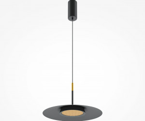 Подвесной светильник Maytoni MOD041PL-L15B3K1