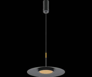 Подвесной светильник Maytoni MOD041PL-L15B3K1