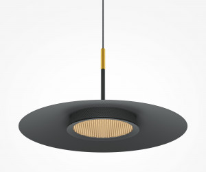 Подвесной светильник Maytoni MOD041PL-L15B3K1