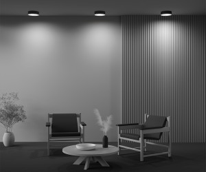 Потолочный светильник Technical C032CL-24W3K-RD-B