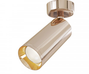 Потолочный светильник Technical C017CW-01RG