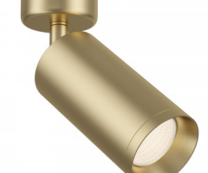 Потолочный светильник Technical C017CW-01MG