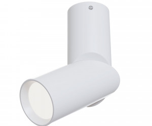 Потолочный светильник Technical C027CL-L10W