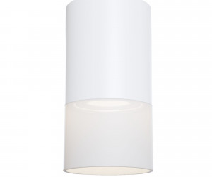 Потолочный светильник Technical C007CW-01W