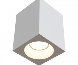 Потолочный светильник Technical C030CL-01W