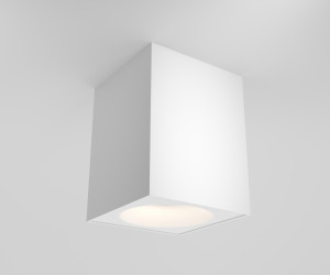 Потолочный светильник Technical C030CL-01W