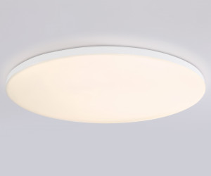 FZ2003 WH белый IP54 30W 3000K-6500K+RGB Wi-Fi Алиса/Tuya/Smart Home/Alexa D450*60 (ПДУ ИК)