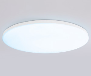 FZ2003 WH белый IP54 30W 3000K-6500K+RGB Wi-Fi Алиса/Tuya/Smart Home/Alexa D450*60 (ПДУ ИК)