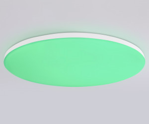 FZ2003 WH белый IP54 30W 3000K-6500K+RGB Wi-Fi Алиса/Tuya/Smart Home/Alexa D450*60 (ПДУ ИК)