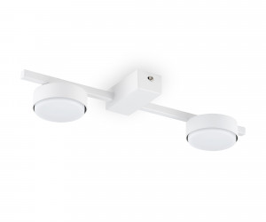 Потолочный светильник Freya FR5363CL-02W