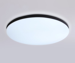 FZ2004 BK черный IP54 20W 3000K-6500K+RGB Wi-Fi Алиса/Tuya/Smart Home/Alexa D300*55 (ПДУ ИК)