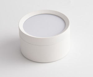 Потолочный светильник Technical C086CL-GX53-SRD-W