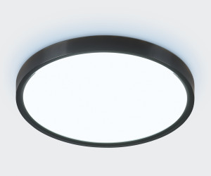 FZ3050 BK черный IP44 24W+10W 6400+6400К D290*40 (Без ПДУ)