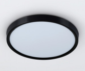 FZ3050 BK черный IP44 24W+10W 6400+6400К D290*40 (Без ПДУ)