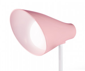 DE565 PI/WH розовый/белый LED 3000-6000K 5W