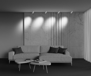 Трековый светильник Technical TR212-1-12WTW-DS-Z-W