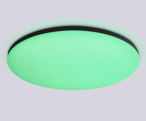 FZ2005 BK черный IP54 25W 3000K-6500K+RGB Wi-Fi Алиса/Tuya/Smart Home/Alexa D370*55 (ПДУ ИК)