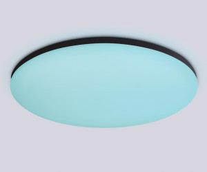 FZ2005 BK черный IP54 25W 3000K-6500K+RGB Wi-Fi Алиса/Tuya/Smart Home/Alexa D370*55 (ПДУ ИК)