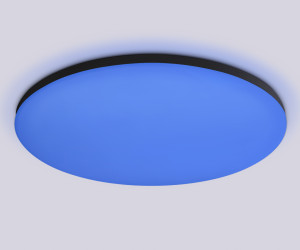 FZ2005 BK черный IP54 25W 3000K-6500K+RGB Wi-Fi Алиса/Tuya/Smart Home/Alexa D370*55 (ПДУ ИК)