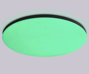 FZ2006 BK черный IP54 30W 3000K-6500K+RGB Wi-Fi Алиса/Tuya/Smart Home/Alexa D450*60 (ПДУ ИК)