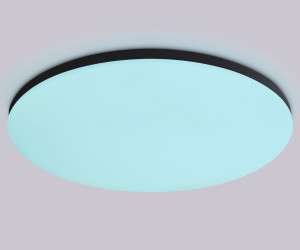 FZ2006 BK черный IP54 30W 3000K-6500K+RGB Wi-Fi Алиса/Tuya/Smart Home/Alexa D450*60 (ПДУ ИК)