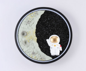 FW11102 SBK черный песок LED 3000K/4200K/6400K 12W D300*35