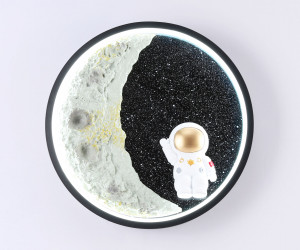 FW11102 SBK черный песок LED 3000K/4200K/6400K 12W D300*35