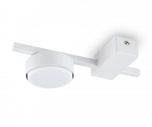 Потолочный светильник Freya FR5363CL-01W