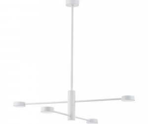 Потолочный светильник Freya FR5363CL-04W