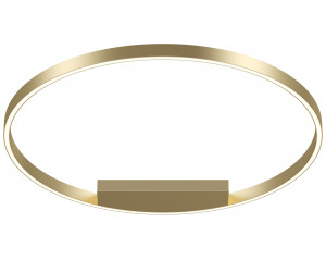 Потолочный светильник Maytoni MOD058CL-L50BSK