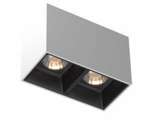 Потолочный светильник Technical C065CL-02-L12W3K-W