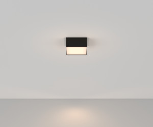 Потолочный светильник Technical C067CL-L12B3K