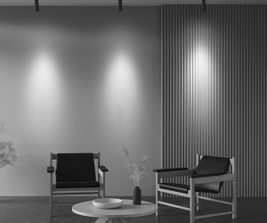 Потолочный светильник Technical C055CL-L12W2.7K-Z-B