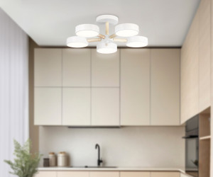 FL4825/5 WH белый 3000K-6400K 65W D580*160 (ПДУ ИК)