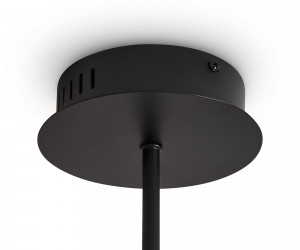 Подвесной светильник Freya FR5557PL-L32B