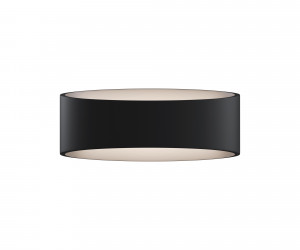 Настенный светильник (бра) Technical C806WL-L5B