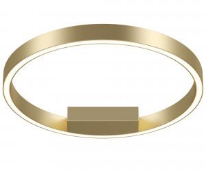 Потолочный светильник Maytoni MOD058CL-L25BSK