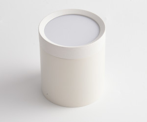 Потолочный светильник Technical C086CM-GX53-MRD-W