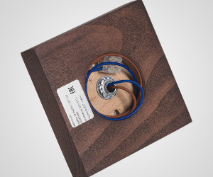 Потолочный светильник 6426N-1SP WG 000067485