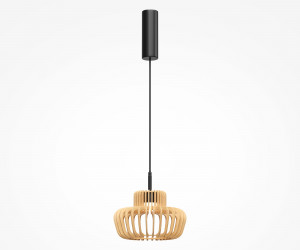 Подвесной светильник Maytoni MOD465PL-L12BK2